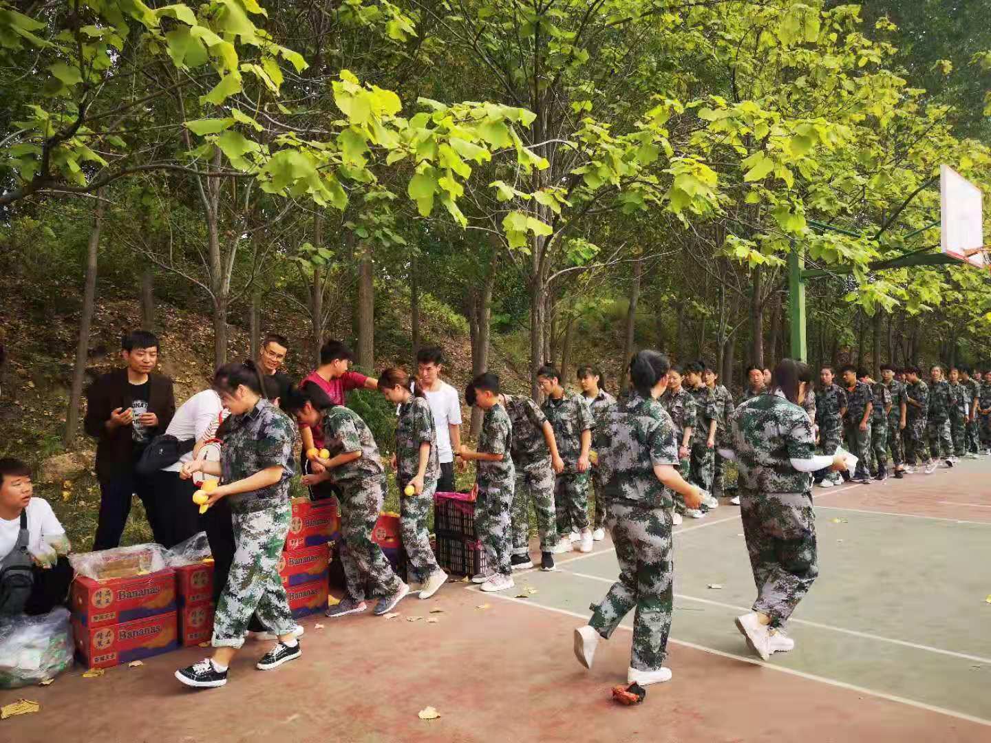 伟德(bevictor)官方网站