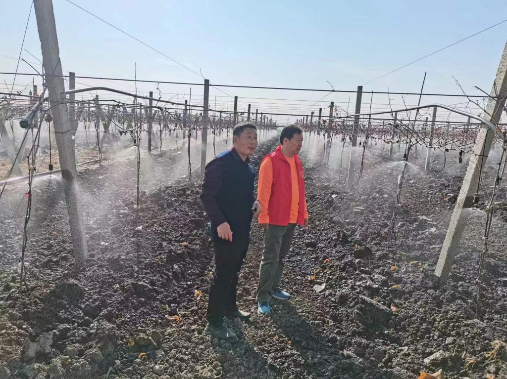 伟德(bevictor)官方网站