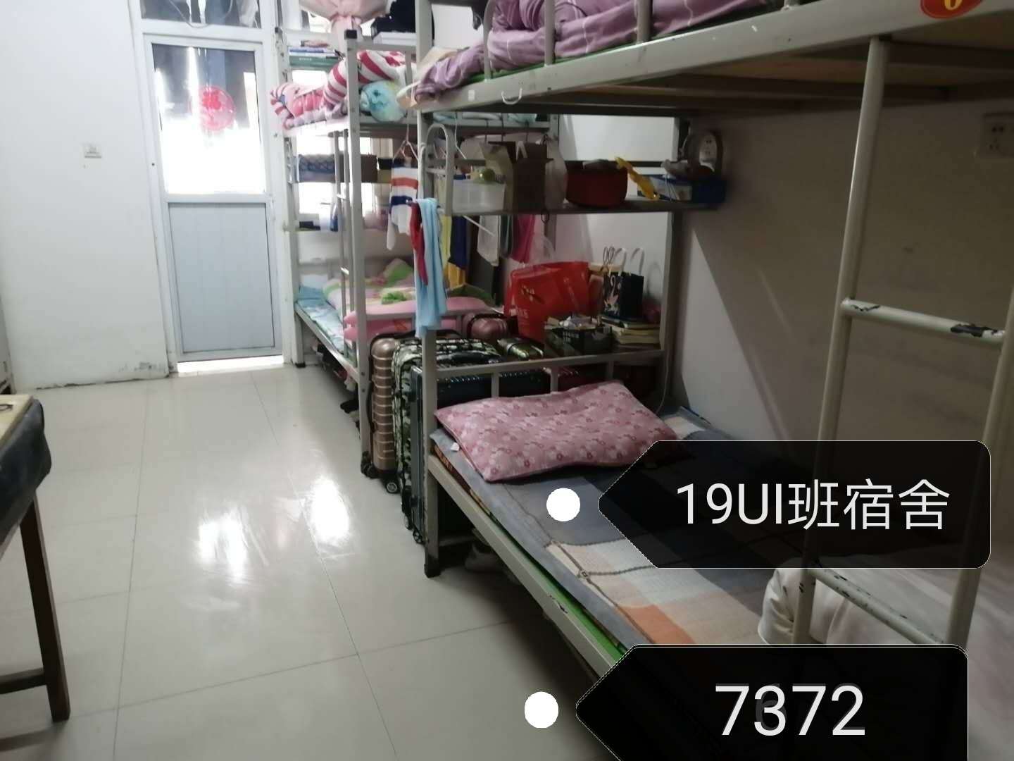 伟德(bevictor)官方网站