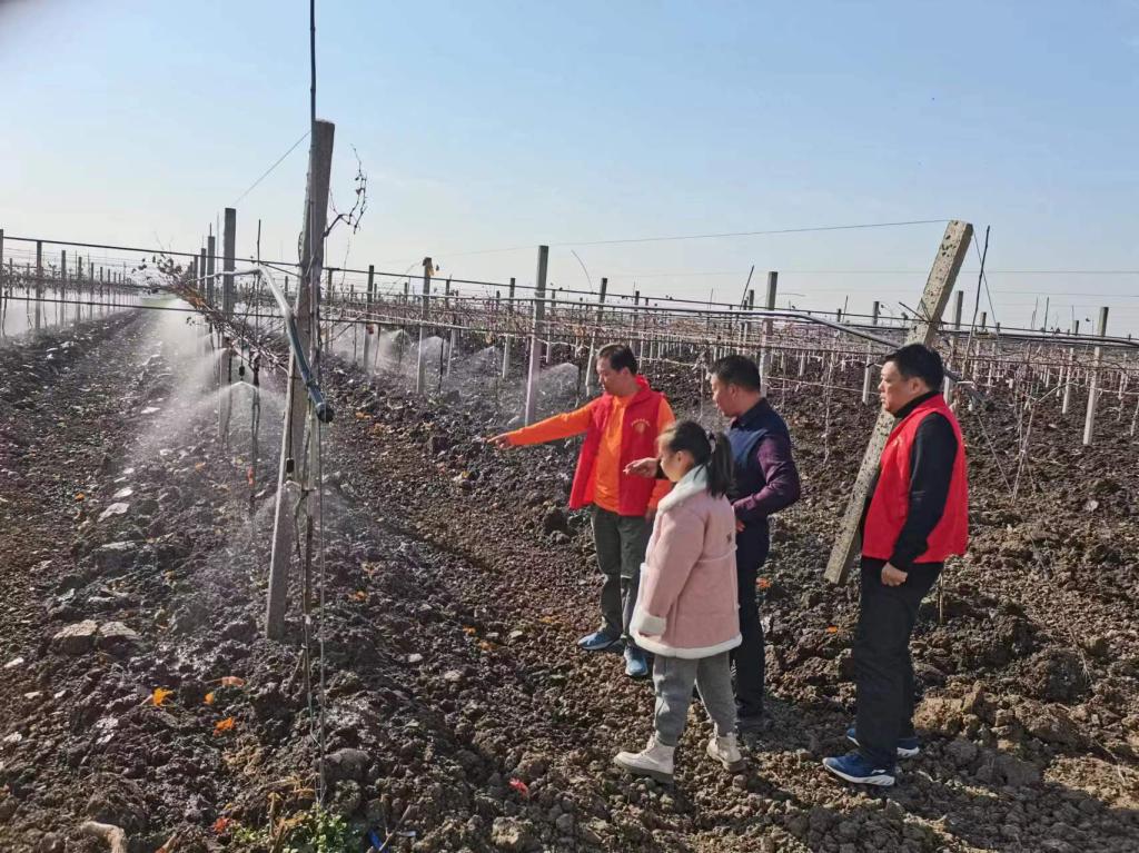 伟德(bevictor)官方网站