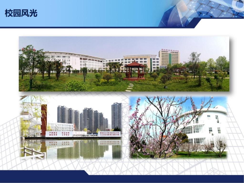 伟德(bevictor)官方网站