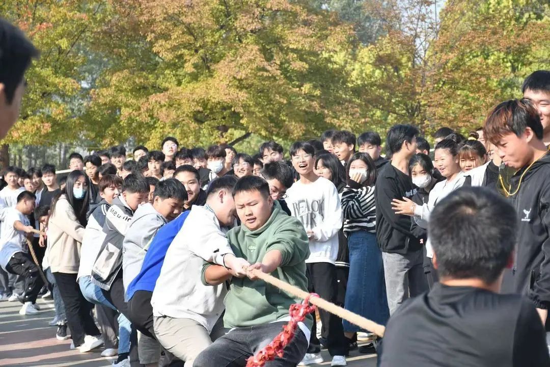 伟德(bevictor)官方网站