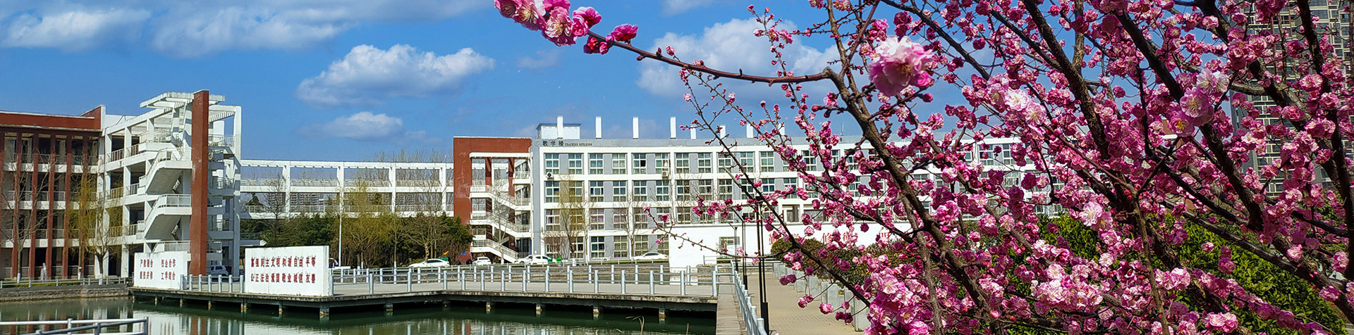 伟德(bevictor)官方网站